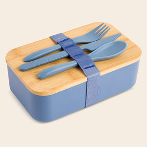 Bento Box with Reusable Utensils