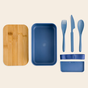 Bento Box with Reusable Utensils