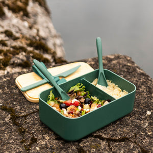 Bento Box with Reusable Utensils